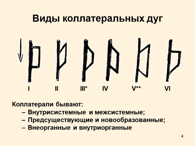 4 Виды коллатеральных дуг          I